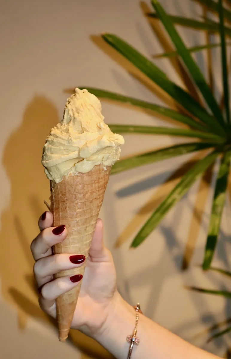 Emilia Gelato — photo 6