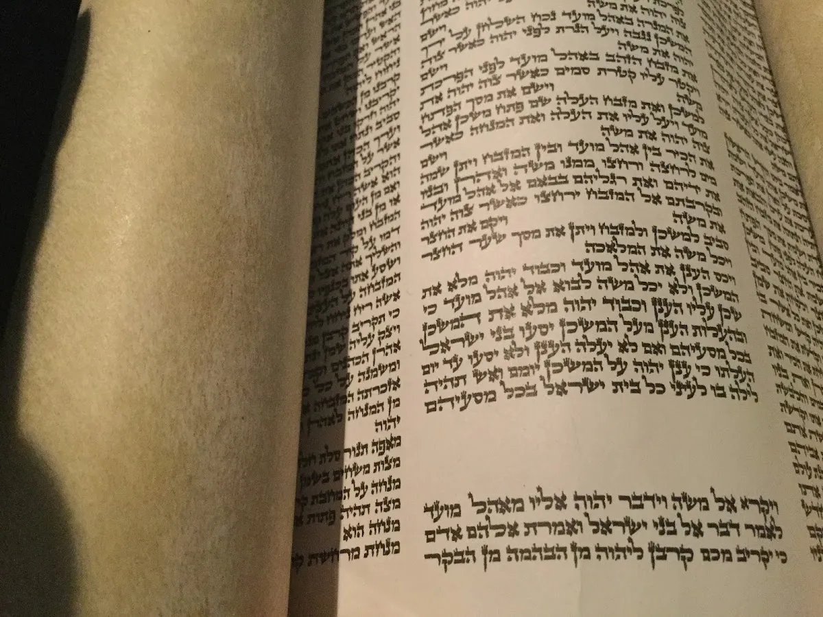 Etz Chaim Sephardic Congregation — foto 4