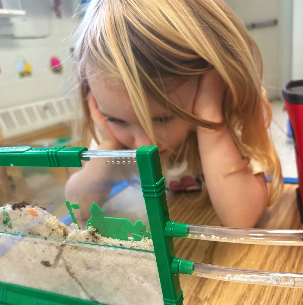 Etz Hayim Preschool — foto 3