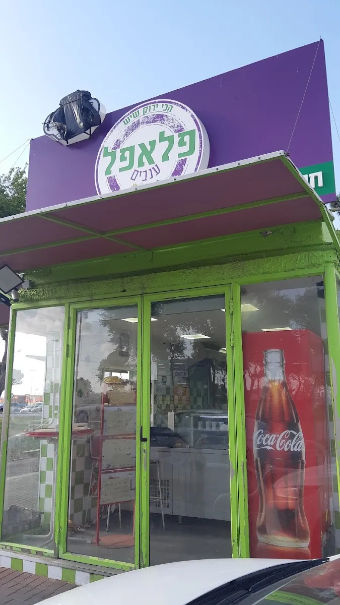 Falafel Anavim