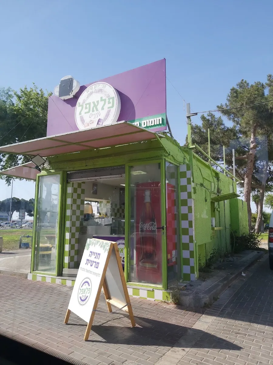 Falafel Anavim — photo 3
