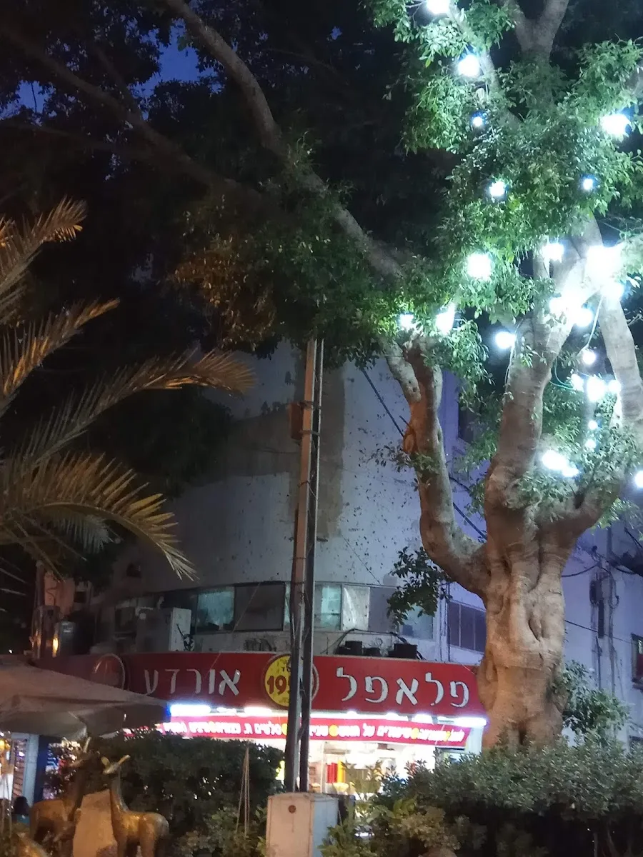 Falafel Ordea — photo 8
