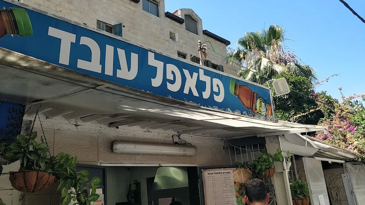 Falafel Oved