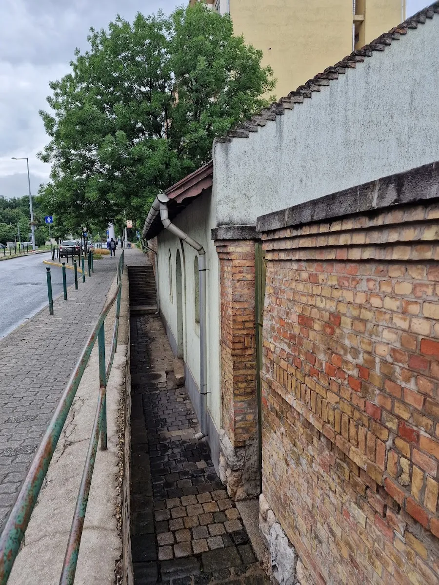 Farkasréti zsidó temető — foto 5