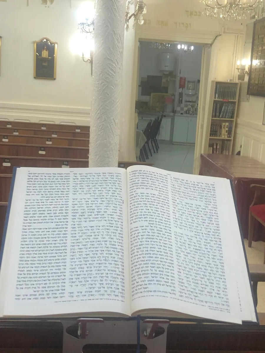 Fondation Roger Fleischman — foto 7