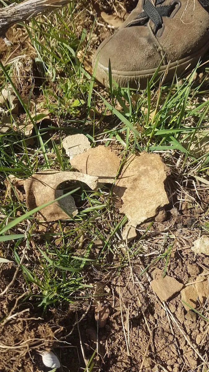 Former Jewish Cemetery (Hosszúhetény) — photo 2
