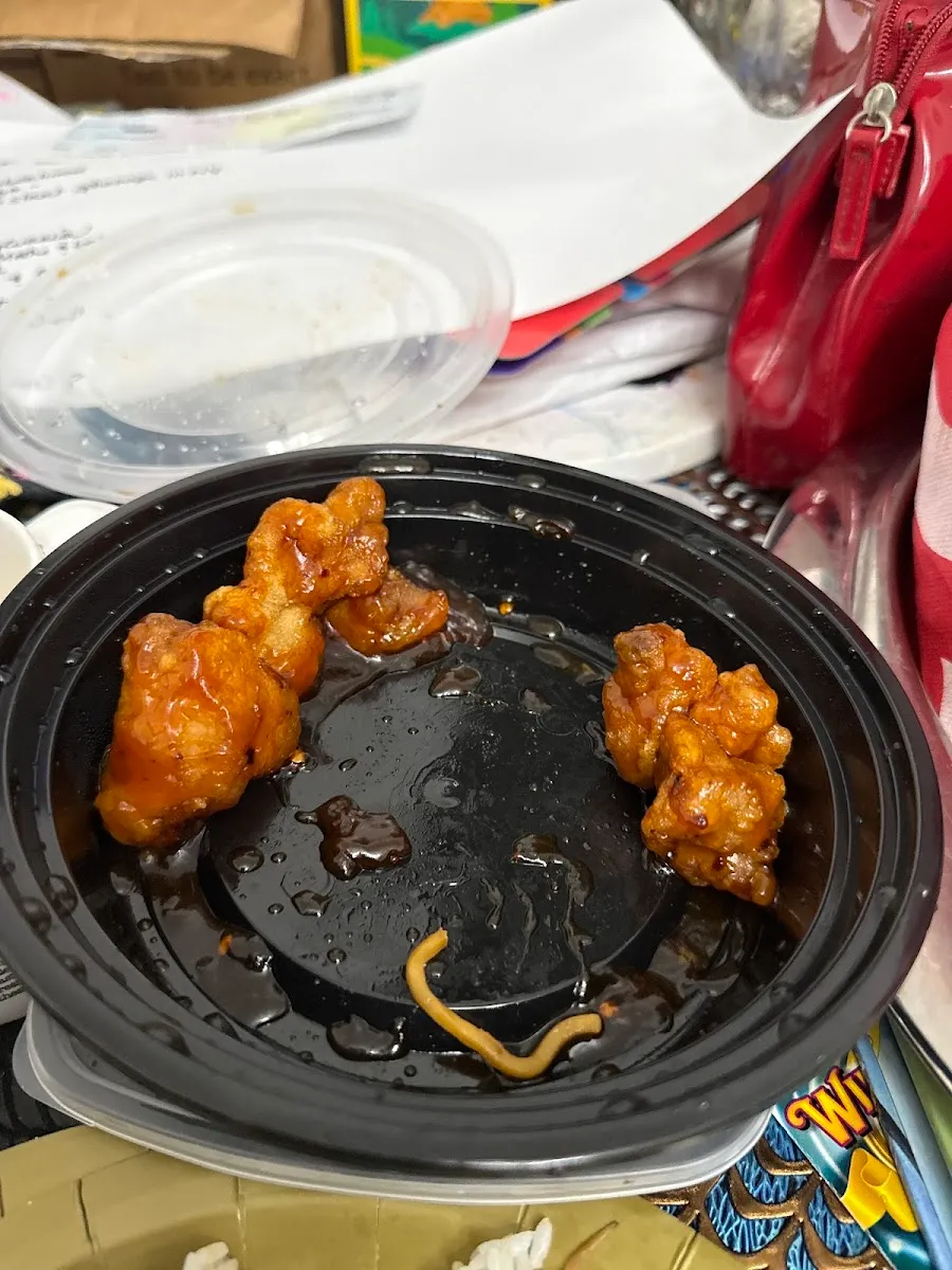 Fortune Glatt Kosher Chinese Take Out — photo 6