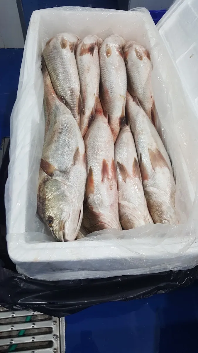 Fresh Fish (Ashdod) — photo 4