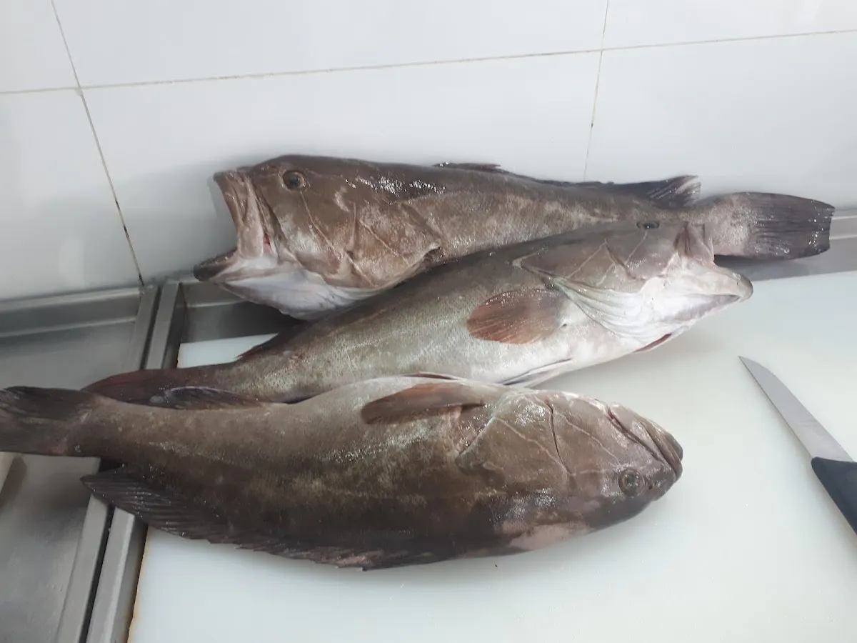 Fresh Fish (Ashdod) — photo 5