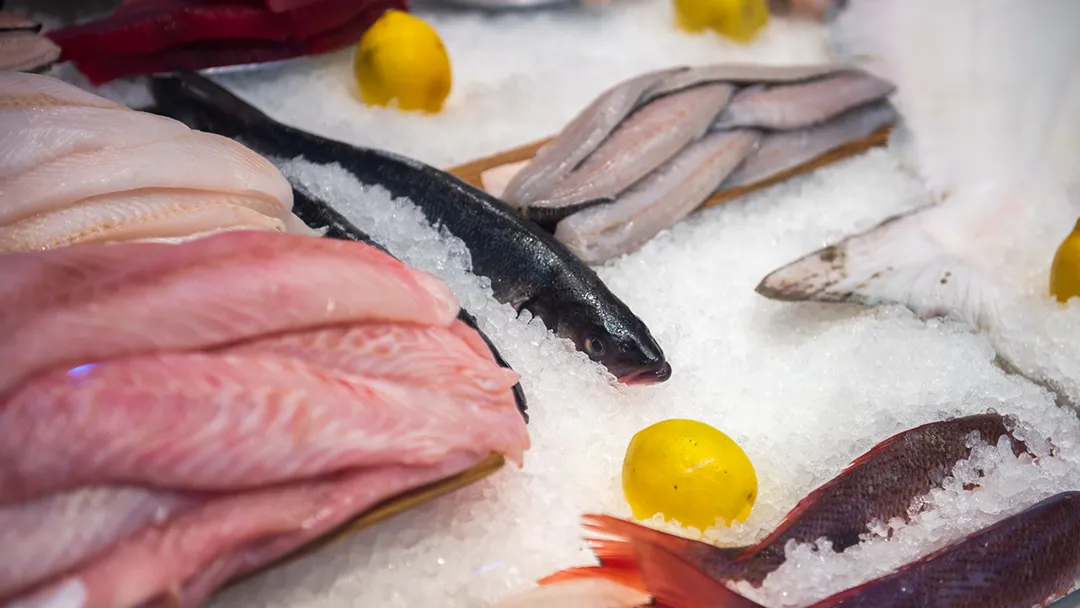 Freund's Fish Market — foto 2
