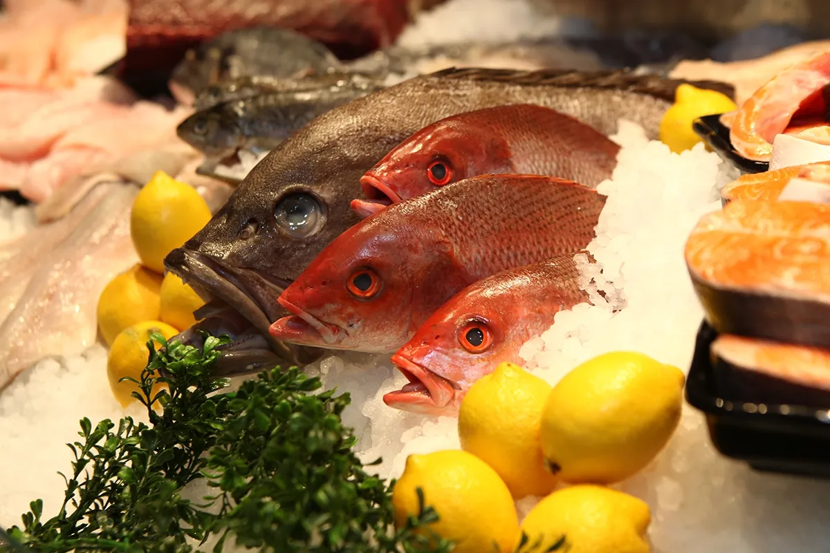 Freund's Fish Market — foto 10