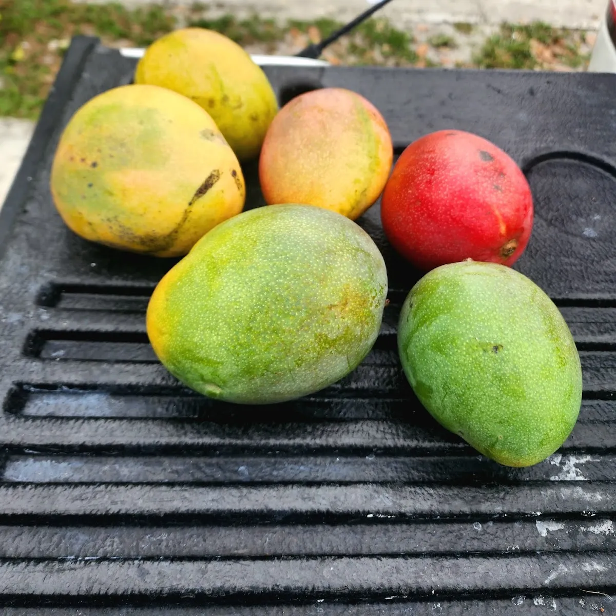 Friendship Circle de Miami — foto 4