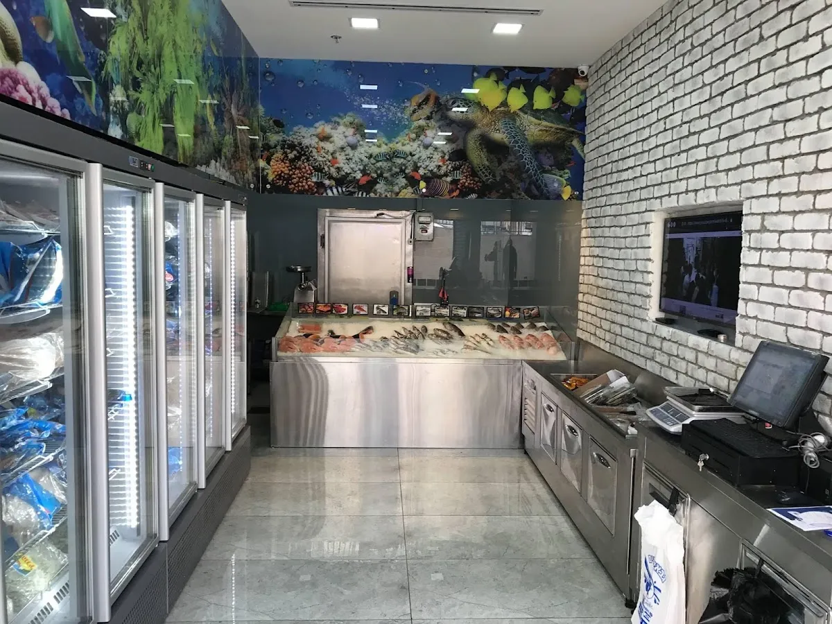 Gabay Dagim veDayagim — photo 4