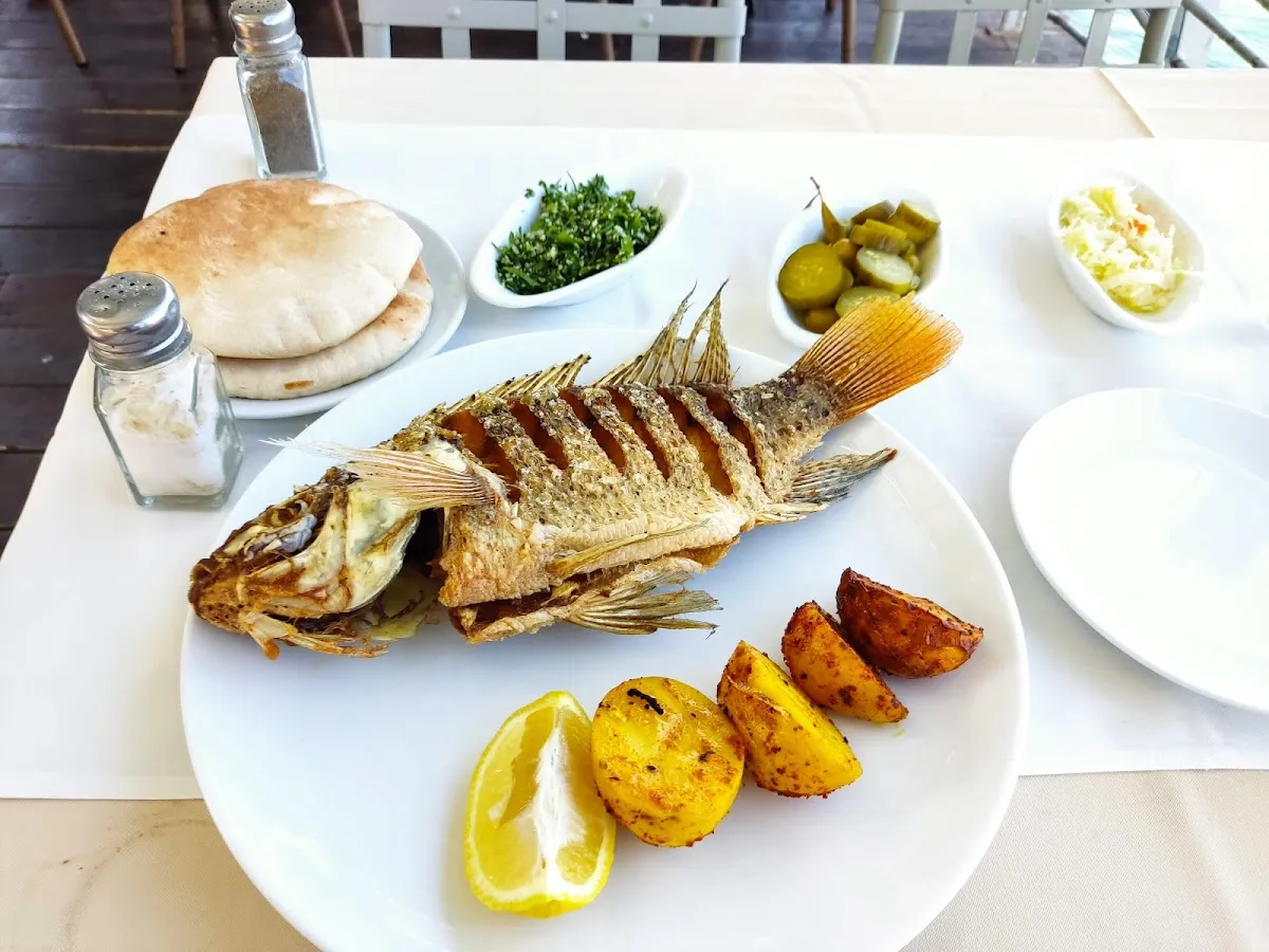 Gali Gil — foto 5