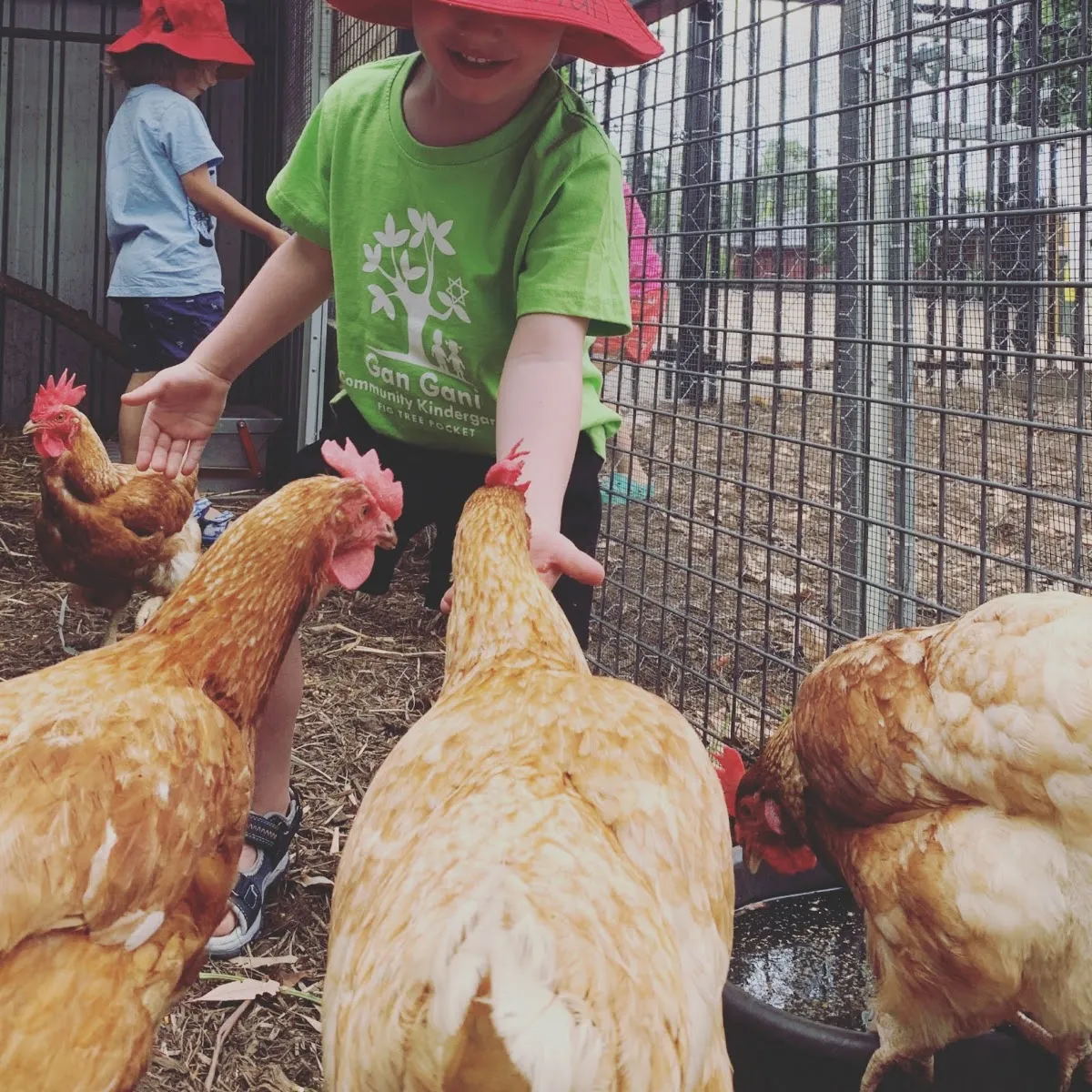 Gan-Gani Community Kindergarten​ — foto 4
