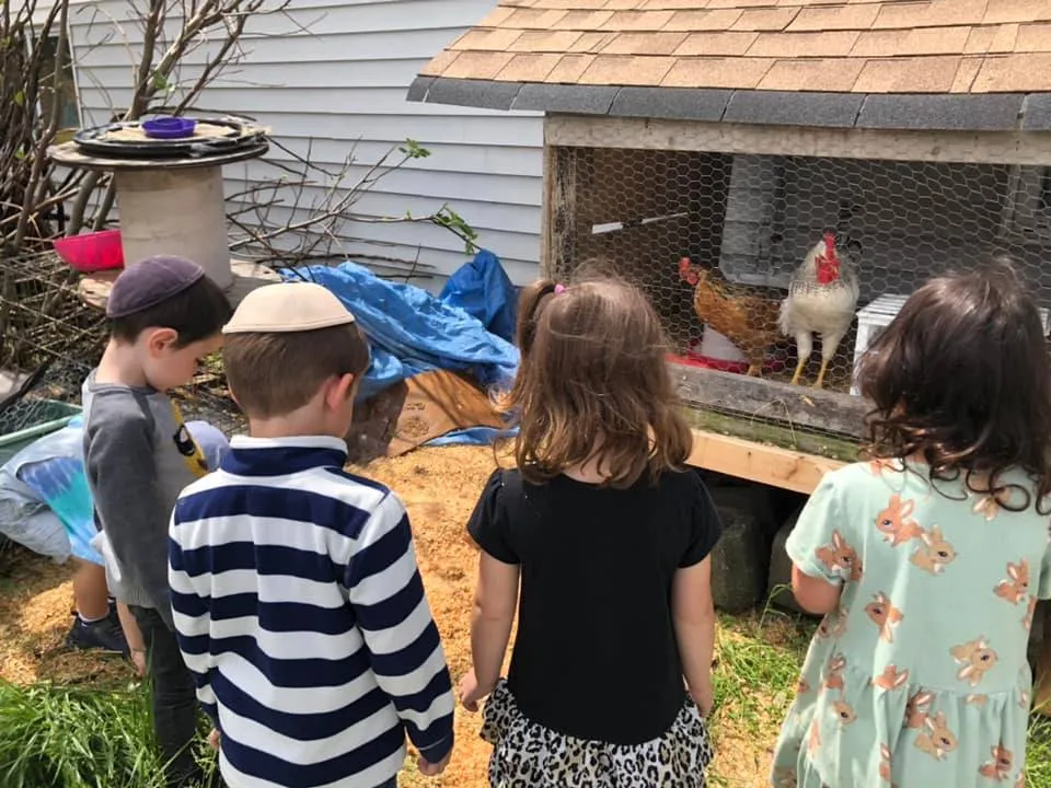 Gan Israel Preschool — foto 2