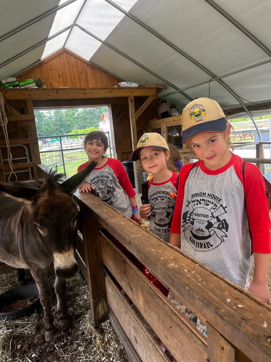 Gan Israel Shaloh House Summer Camp — foto 4