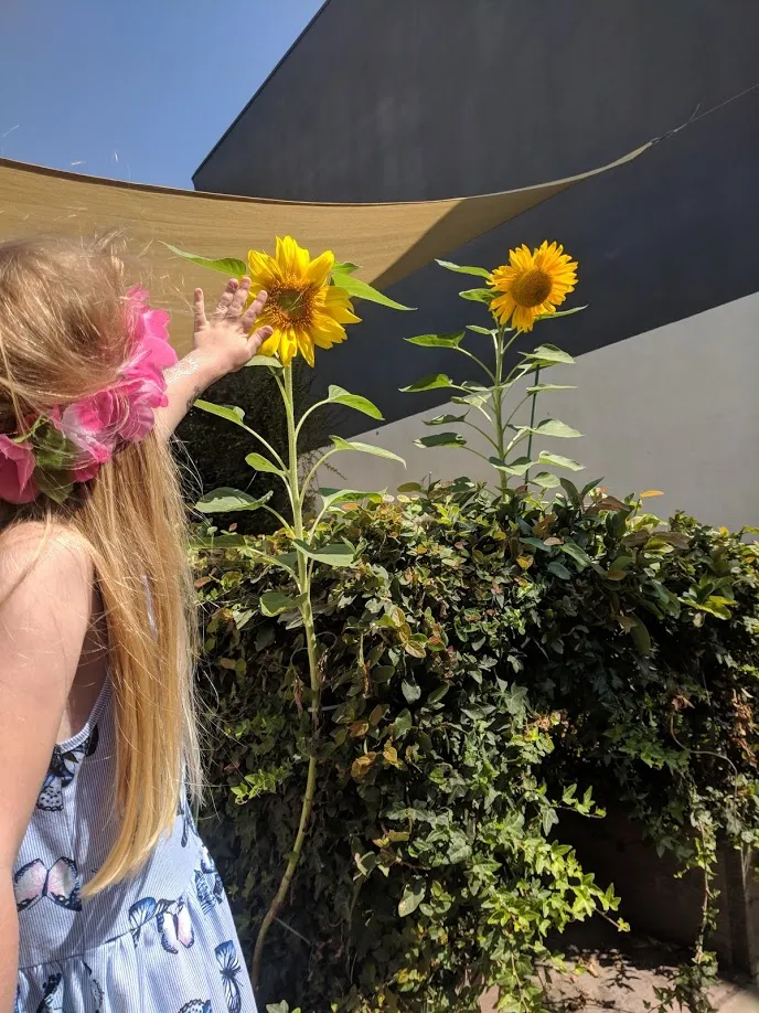 Gan West Preschool — foto 5