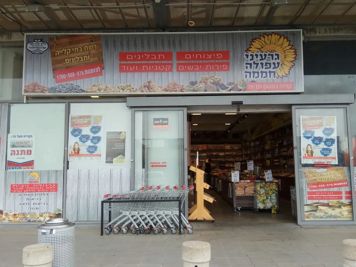 Garinei Afula (Modiin)
