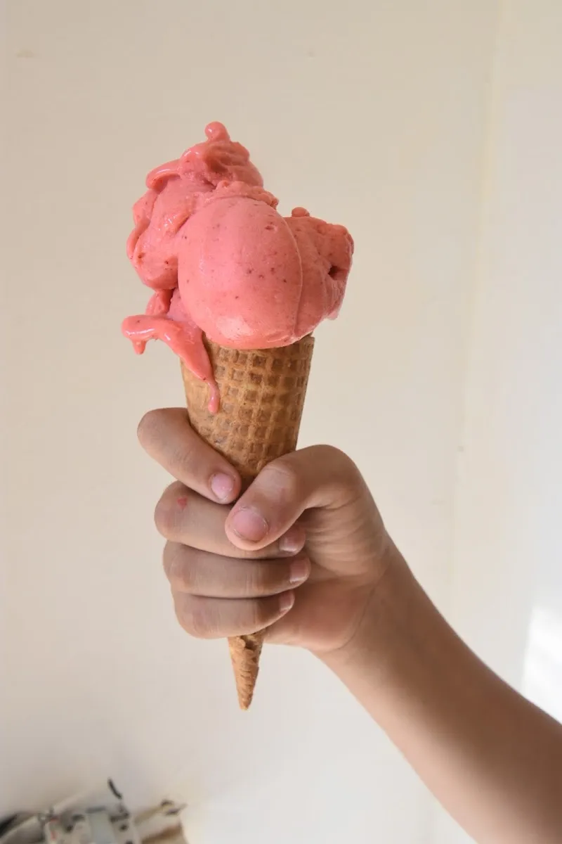 Gelato Vivo — foto 8