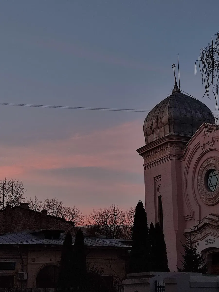 Gran Sinagoga de Ploiești — photo 5