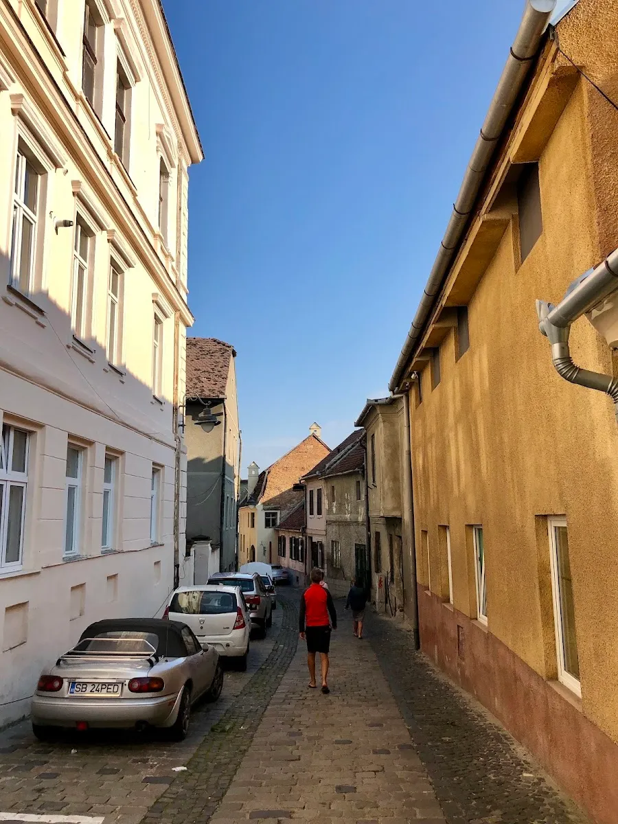 Gran Sinagoga de Sibiu — photo 9