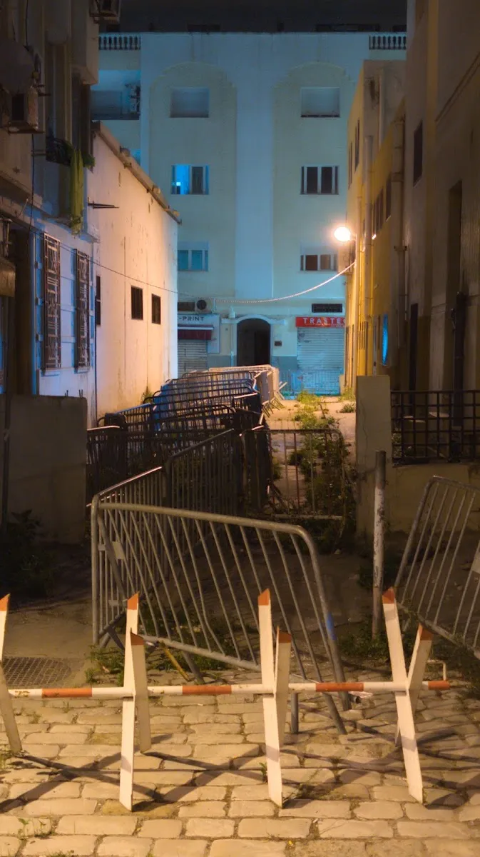 Grande Synagogue de Tunis — photo 8