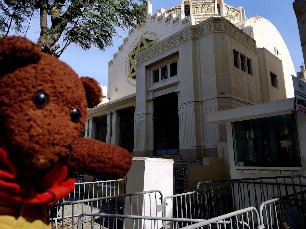 Grande Synagogue de Tunis — photo 9