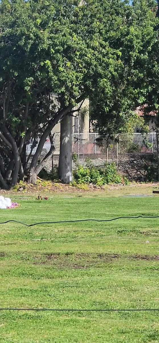 Greenwood Memorial Park and Mortuary — foto 3