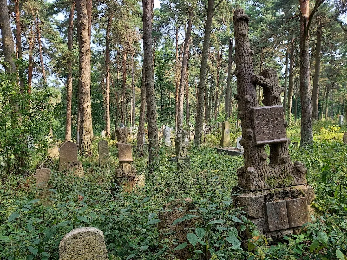 Grodno Old Jewish Cemetery — foto 3