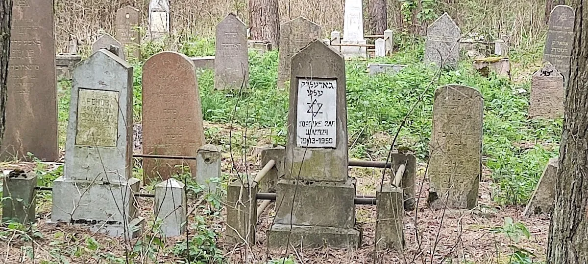 Grodno Old Jewish Cemetery — foto 7