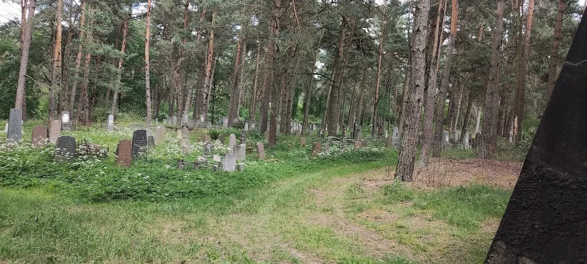 Grodno Old Jewish Cemetery — foto 8
