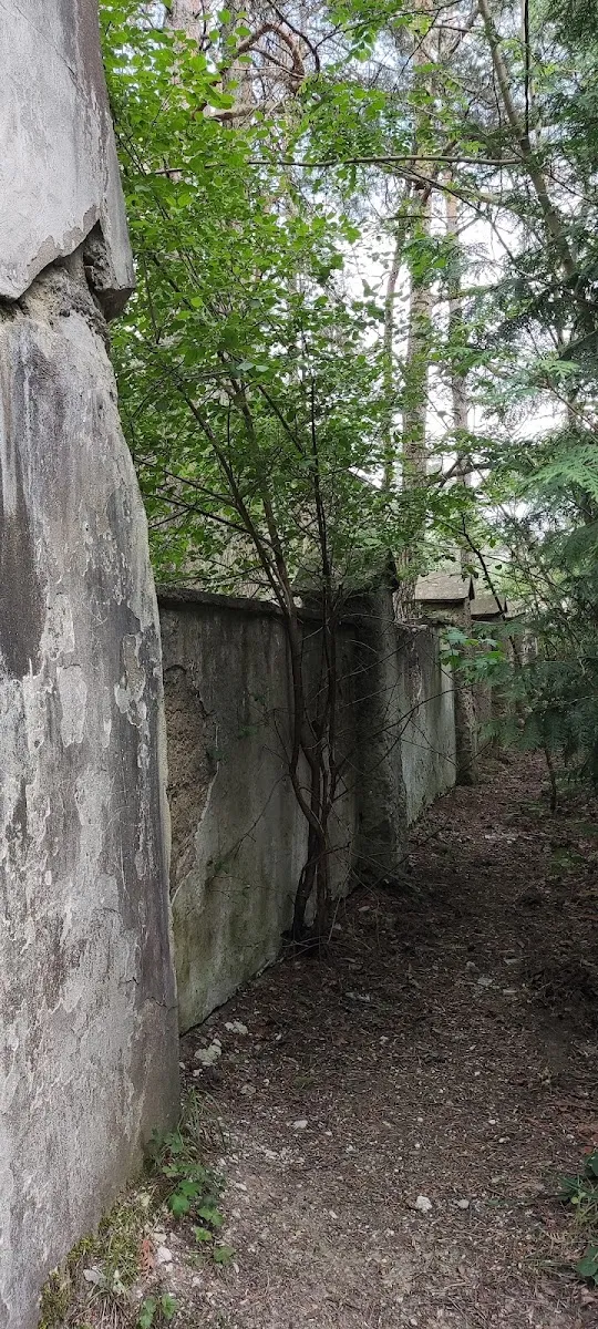Grodno Old Jewish Cemetery — foto 9