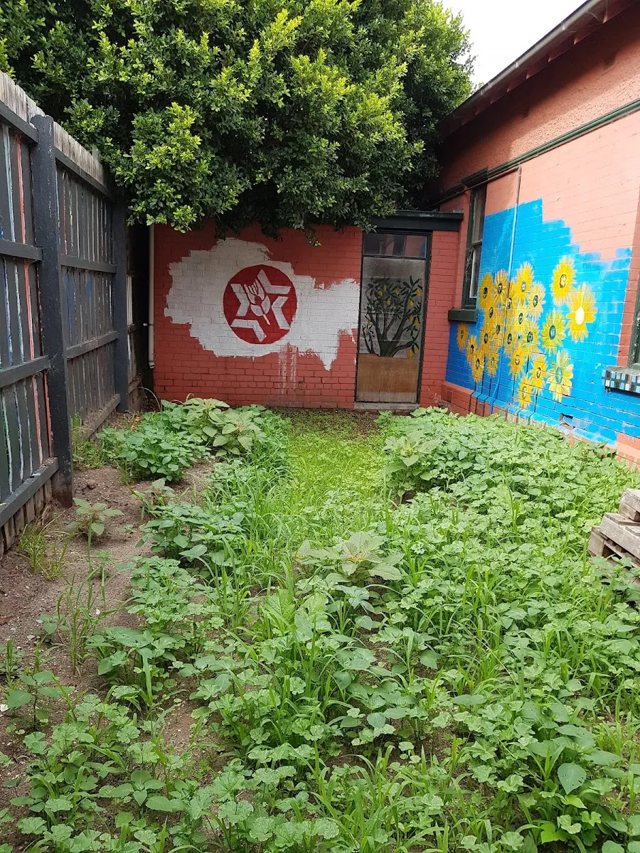 Habonim Dror — foto 7