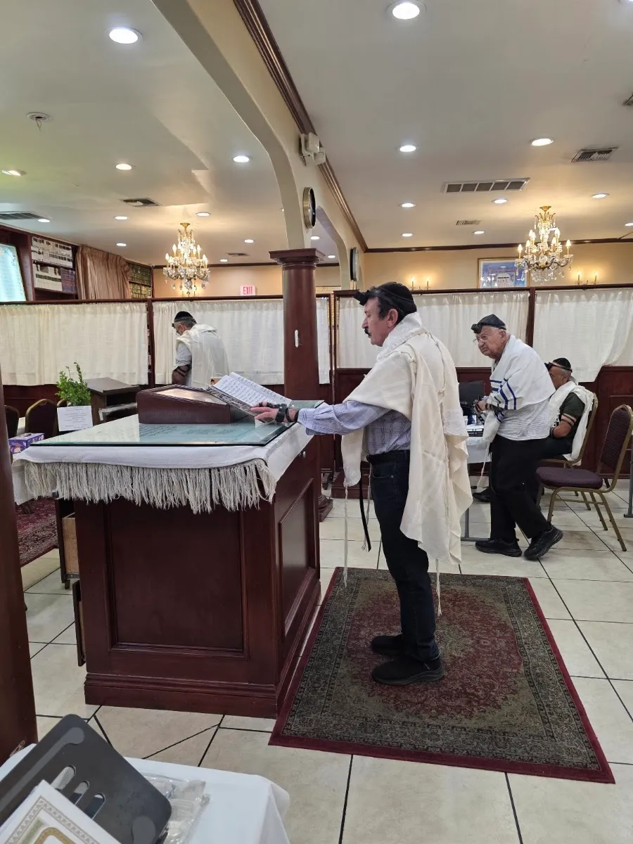 Haichal Moshe — foto 4