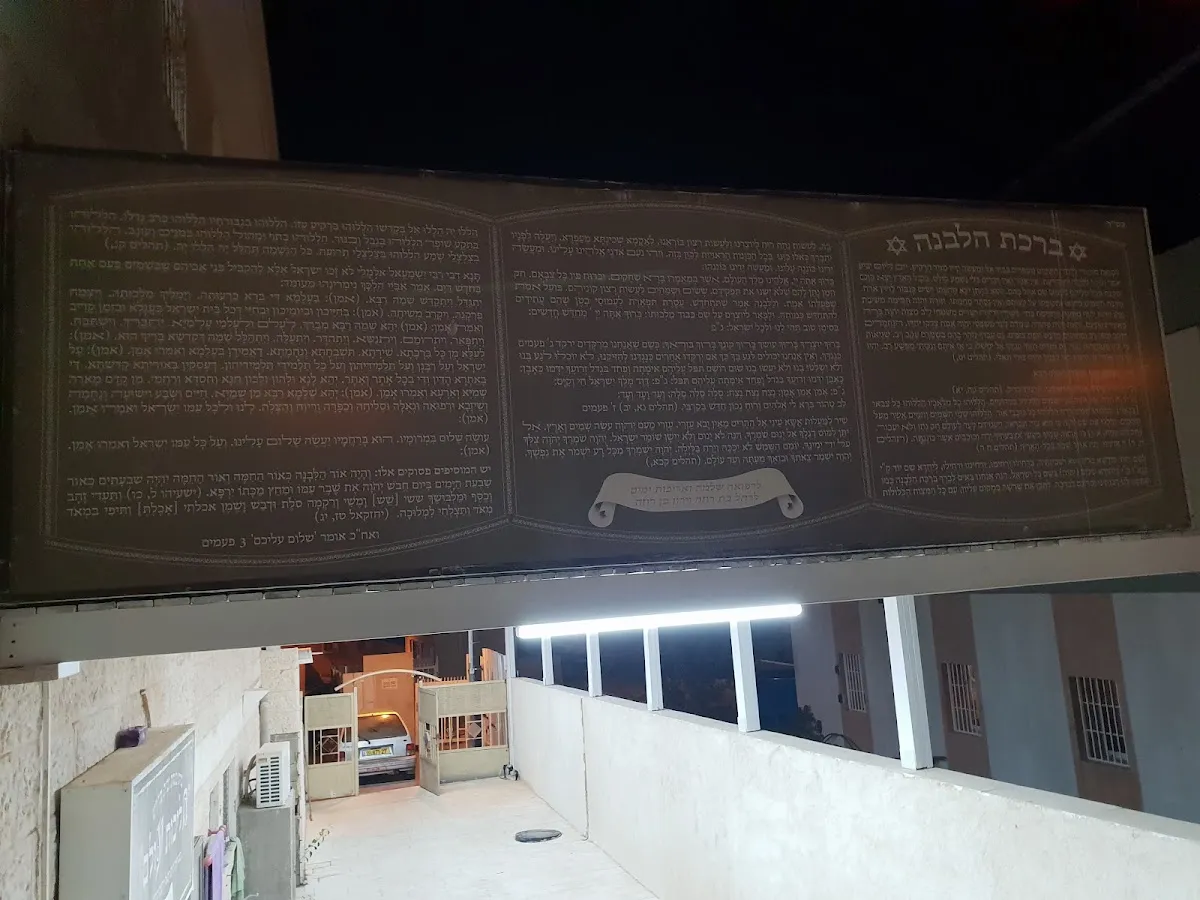 Halichot Olam Synagogue — foto 6