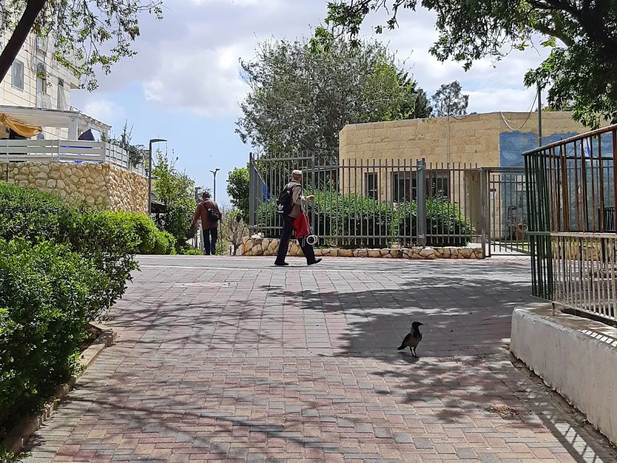 HaMerkazi Synagogue Ma'ale Adumim — foto 10
