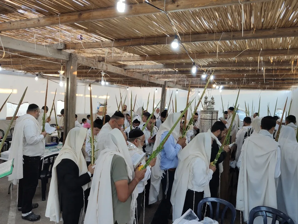 HaMeyasher Institutions (Rabbi Benayahu Shmueli) — foto 2
