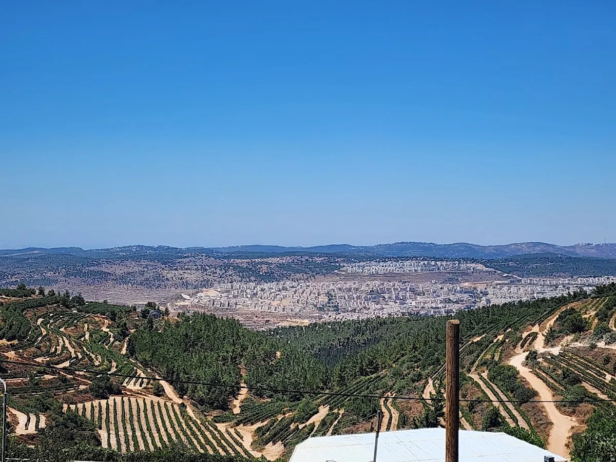 Har Etzion Yeshiva — foto 5