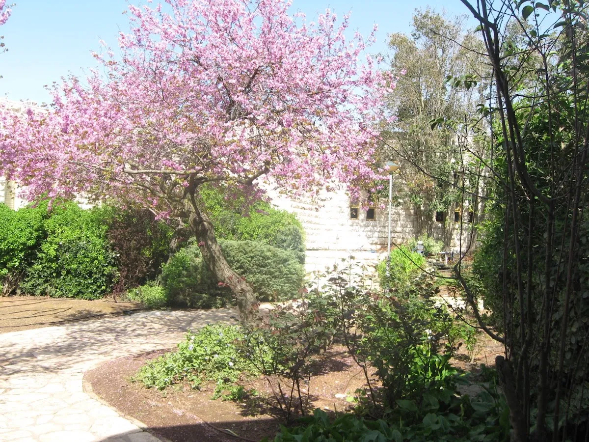 Har Etzion Yeshiva — foto 10