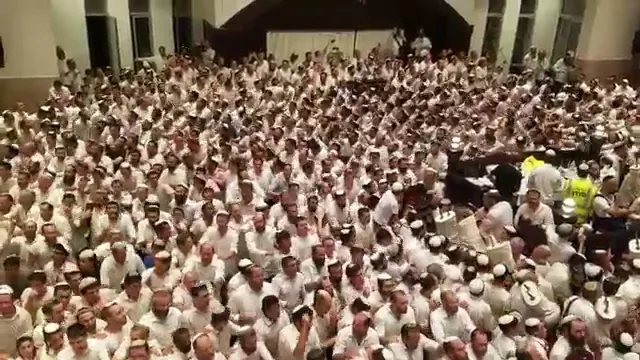 Har Hamor Yeshiva — foto 8
