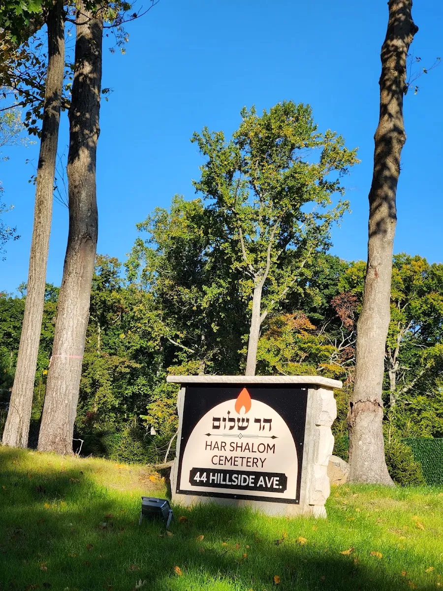 Har Shalom Cemetery — photo 7