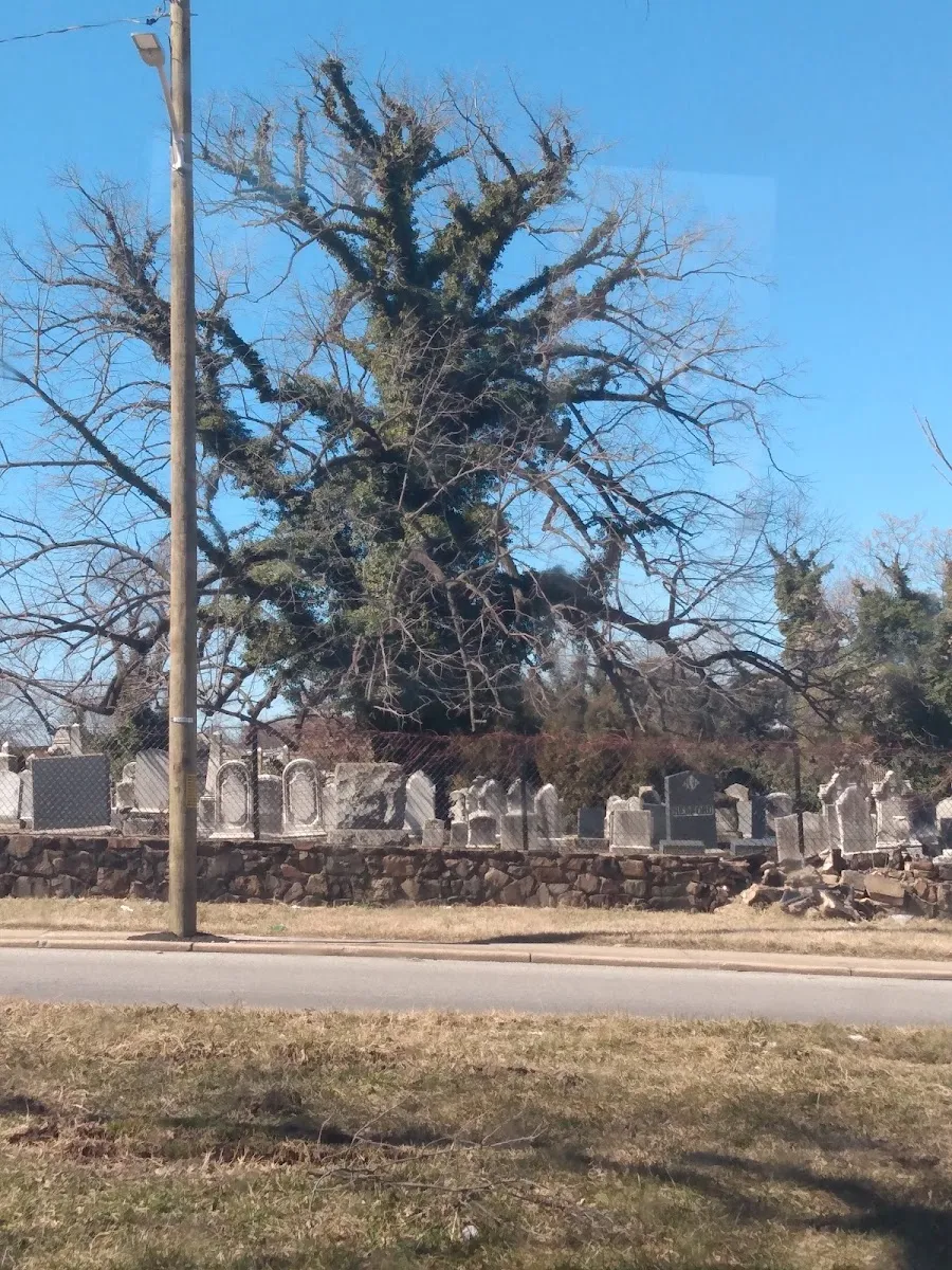 Har Sinai Cemetery (3241 Erdman Ave) — foto 3