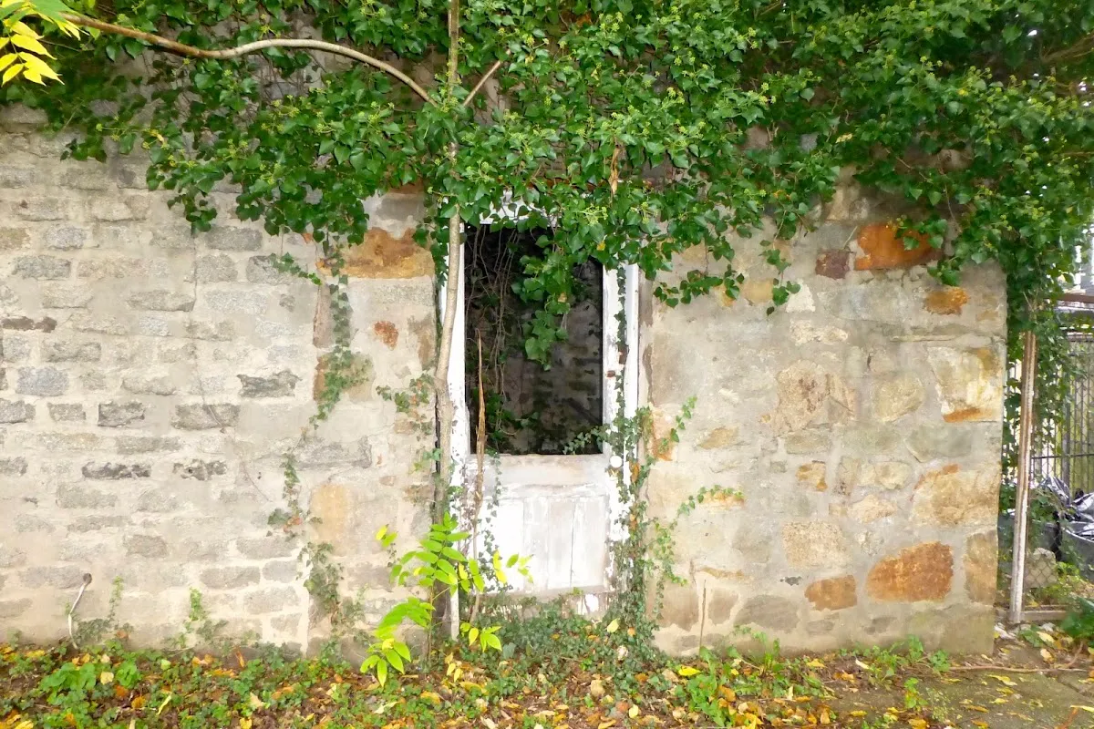 Har Sinai Cemetery (3241 Erdman Ave) — foto 5
