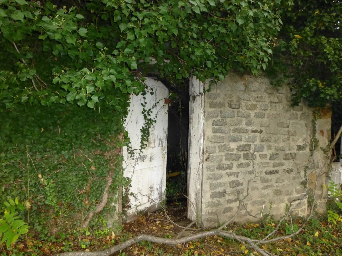 Har Sinai Cemetery (3241 Erdman Ave) — foto 6