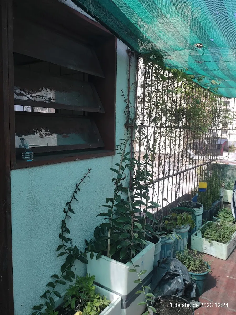 Hashomer Hatzair — Ken Buenos Aires — photo 5