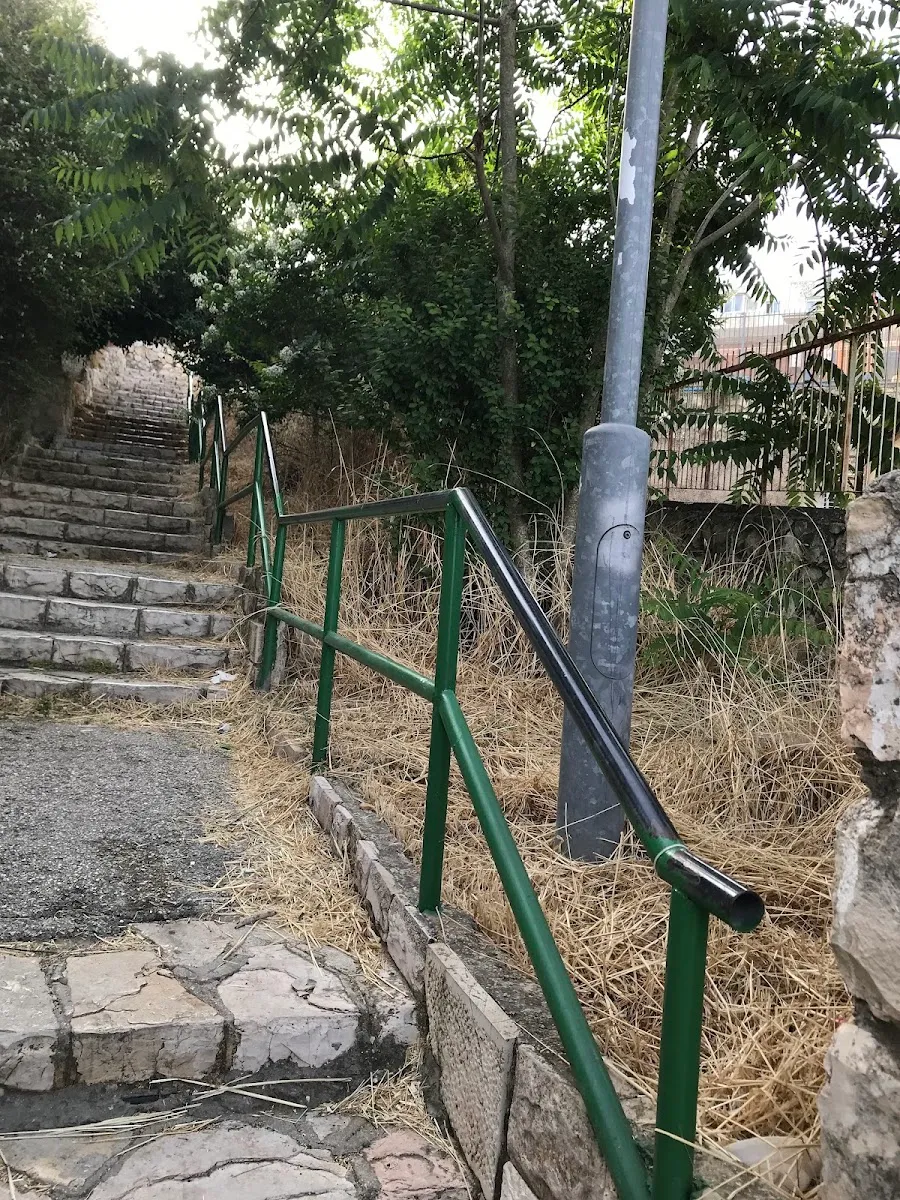 HaTzvi Synagogue — foto 4