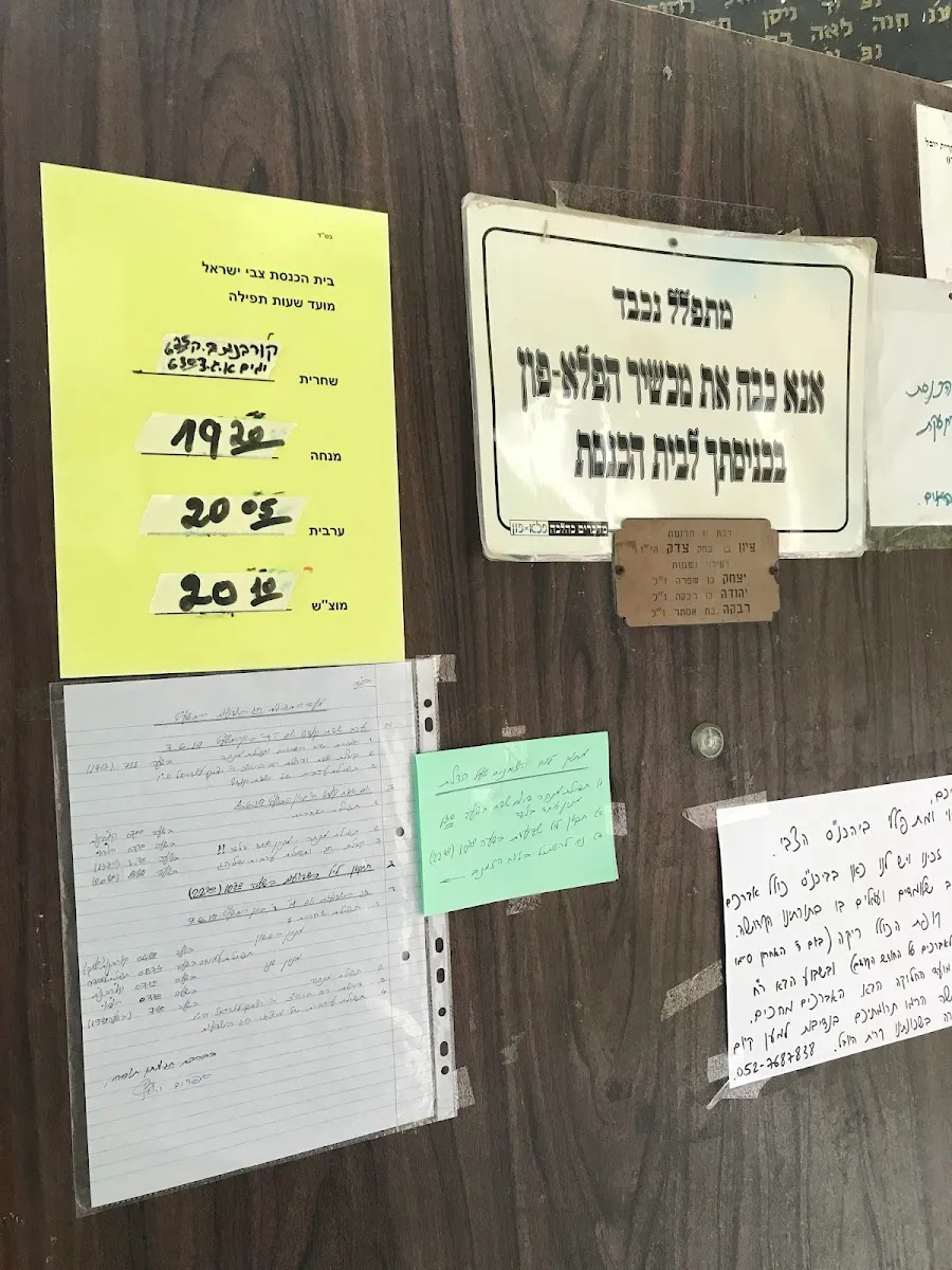 HaTzvi Synagogue — foto 5