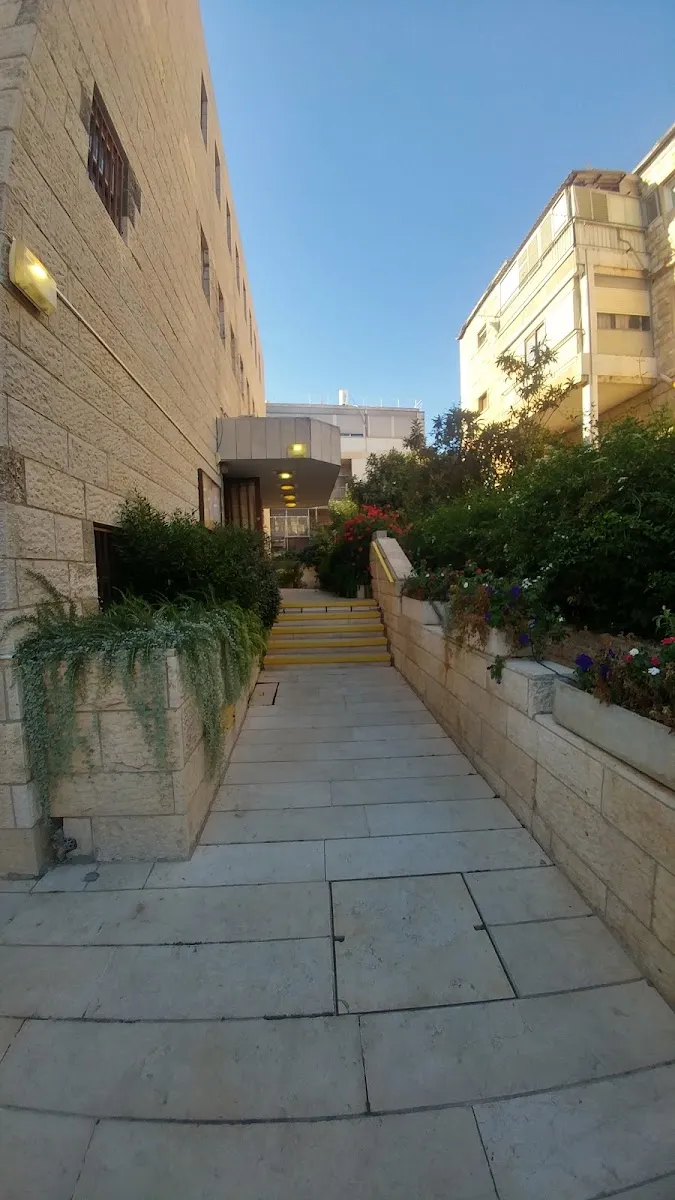 HaTzvi Yisrael Synagogue — foto 5