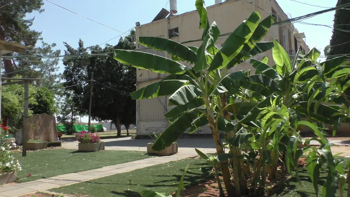 HaYeshiva HaGdola